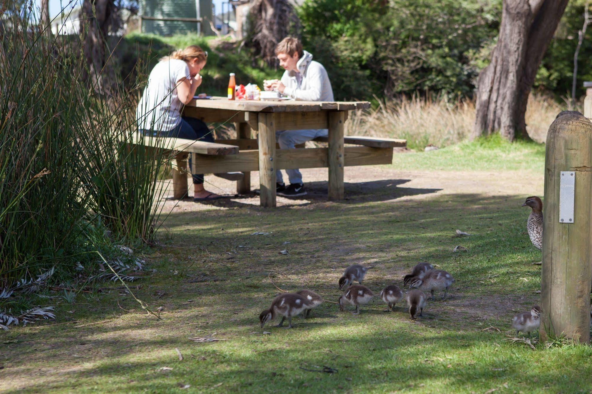 Lorne Foreshore Caravan Park Ngoại thất bức ảnh